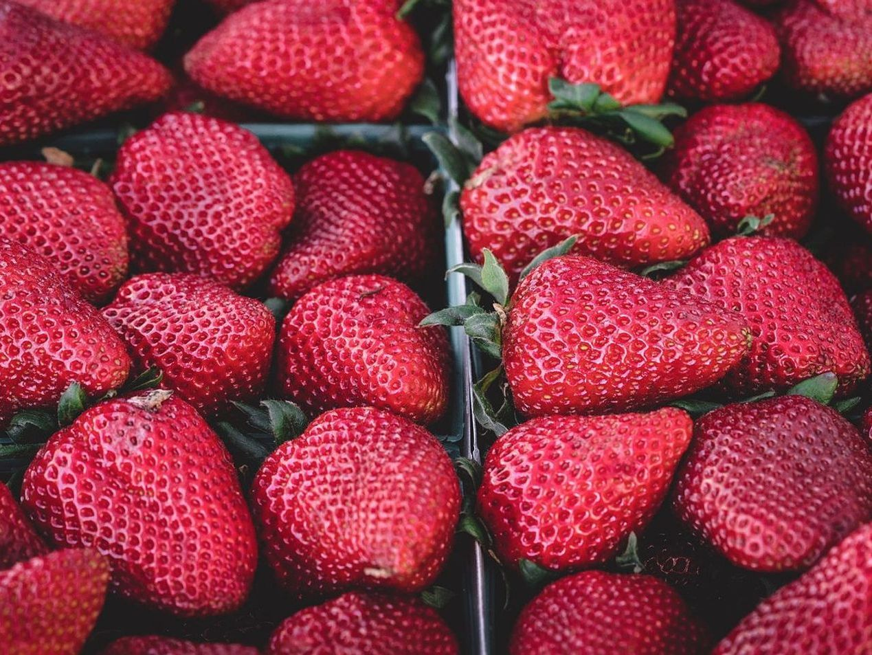 Create Chocolate Desserts With Fresh Fruit