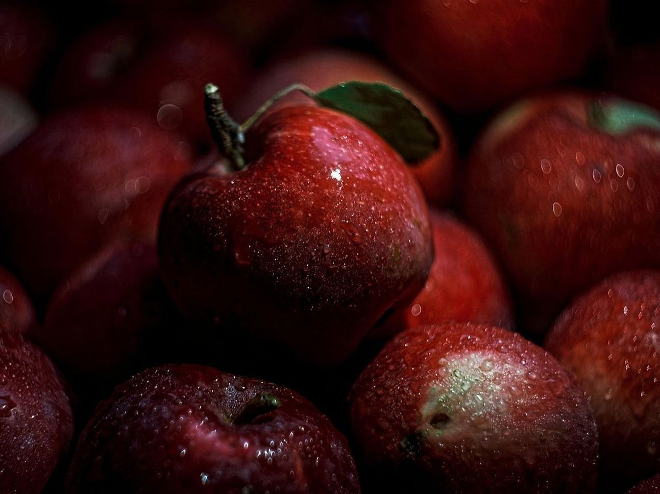 Same-Day Berry Orders